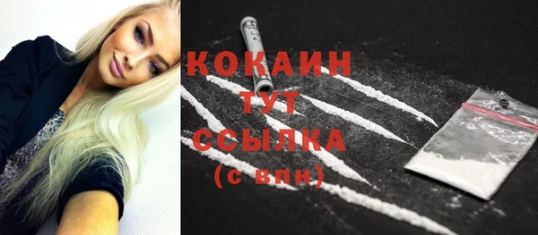стафф Богданович