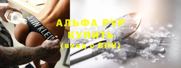 стафф Богданович