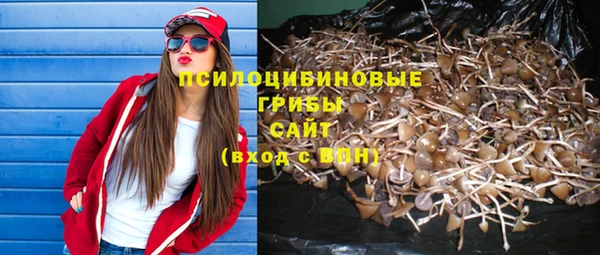 эйфоретик Богородицк