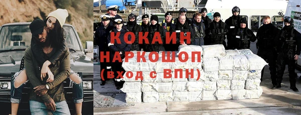 стафф Богданович