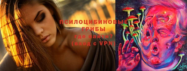 стафф Богданович