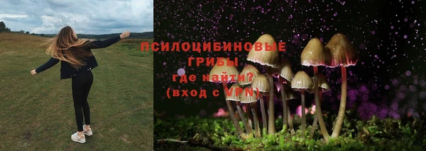 эйфоретик Богородицк